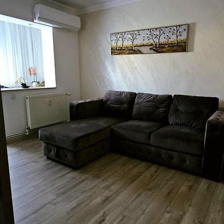 Rose Residence Buzau Bagian luar foto